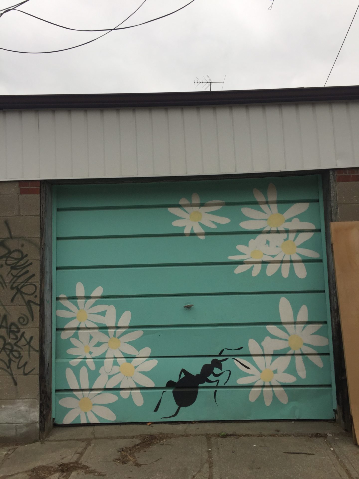 Latest Garage Door Artist with Modern Design