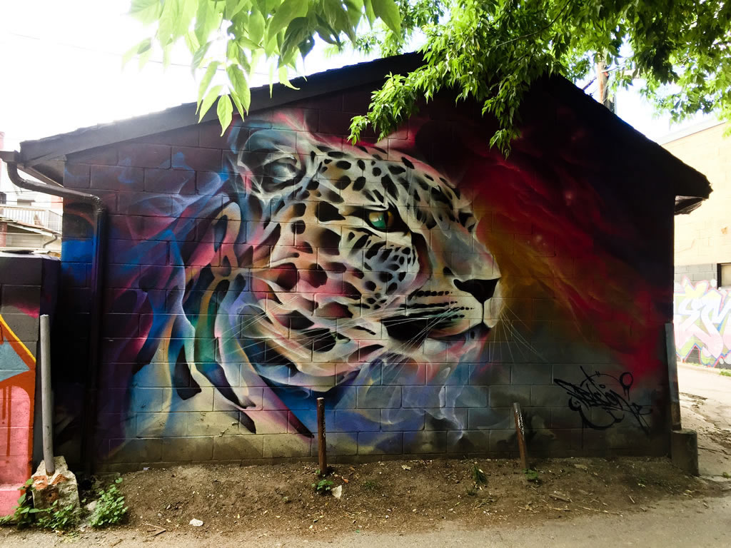 Toronto Graffiti Street Art