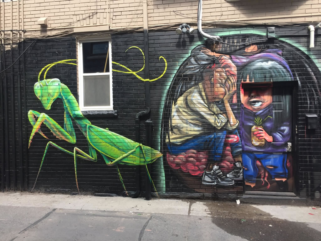 Toronto Graffiti Street Art