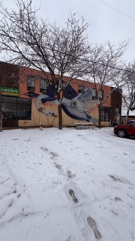 Canadian Graffiti Street Art